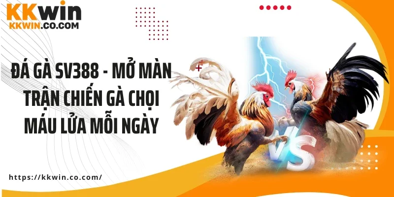 Đá gà SV388